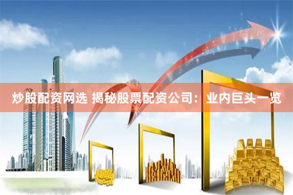 炒股配资网选 揭秘股票配资公司：业内巨头一览