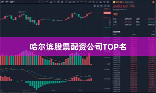 哈尔滨股票配资公司TOP名