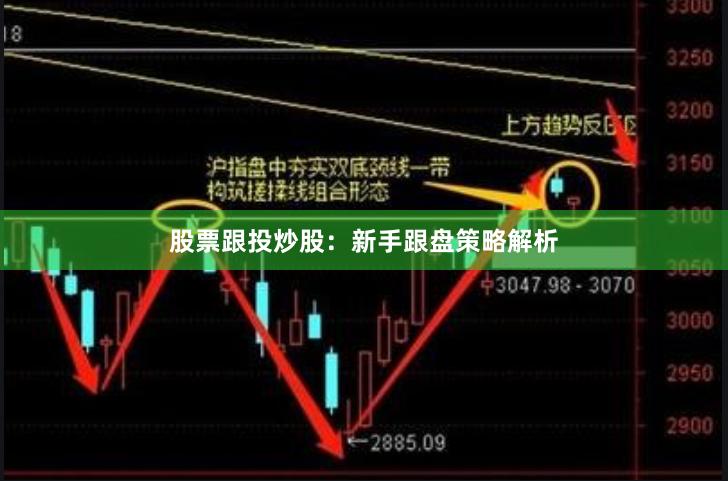 股票跟投炒股：新手跟盘策略解析