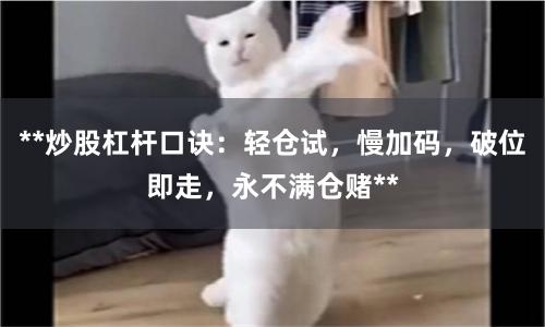 **炒股杠杆口诀：轻仓试，慢加码，破位即走，永不满仓赌**